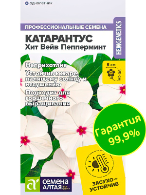Катарантус Хит Вейв Пепперминт [Семена алтая] купить с доставкой удивительное изящное и красивоцветущее растение