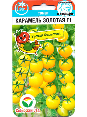 Томат Черри Карамель золотая [Сибирский сад] купить с доставкой ​Томат Карамель золотая F1 – очередная новинка 2023 года от агрофирмы Сибирский Сад! Черри коктейльного типа и изумительного цвета, которые к тому же устойчивы к большинству заболеваний.