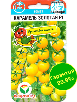 Томат Черри Карамель золотая [Сибирский сад] купить с доставкой ​Томат Карамель золотая F1 – очередная новинка 2023 года от агрофирмы Сибирский Сад! Черри коктейльного типа и изумительного цвета, которые к тому же устойчивы к большинству заболеваний.