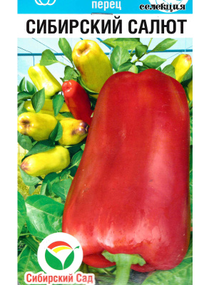 Перец Сибирский салют [Сибирский сад] купить с доставкой Уникальный сорт сибирской селекции! Довольно крупный сладкий перец растет пучками вверх! Создается впечатление, что у вас на грядке овощной букет. Это не только очень эффектно выглядит, но и довольно удобно при выращивании и сборке плодов. Также перец неприхотлив и устойчив к сибирскому климату.