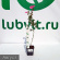 Флокс Феникс купить с доставкой