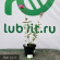 Флокс Феникс купить с доставкой