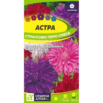 Астра Страусово Перо Смесь окрасок [Семена алтая] купить с доставкой уникальное строение соцветий с кудрявыми лепестками, что придают ему особую прелесть