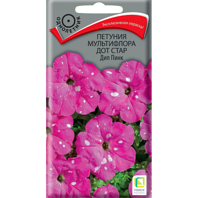 Петуния мультифлора Дот Стар Дип Пинк [Поиск] купить с доставкой новый гибридный сорт, выведенный в 2020 году