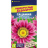 Гацания Новый день Оттенки розового [Семена алтая] купить с доставкой - Гацания Новый день Оттенки розового [Семена алтая] купить с доставкой