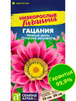 Гацания Новый день Оттенки розового [Семена алтая]
