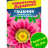 Гацания Новый день Оттенки розового [Семена алтая] купить с доставкой - Гацания Новый день Оттенки розового [Семена алтая] купить с доставкой