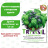 Базилик Трай Базил БукетАрома [Биотехника] купить с доставкой - Базилик Трай Базил БукетАрома [Биотехника] купить с доставкой