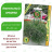 Гипсофила Гарден Брайт Пинк [Биотехника] купить с доставкой - Гипсофила Гарден Брайт Пинк [Биотехника] купить с доставкой