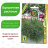 Гипсофила Гарден Брайт Пинк [Биотехника] купить с доставкой - Гипсофила Гарден Брайт Пинк [Биотехника] купить с доставкой