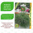 Гипсофила Гарден Брайт Пинк [Биотехника] купить с доставкой - Гипсофила Гарден Брайт Пинк [Биотехника] купить с доставкой