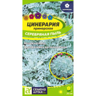 Цинерария Серебряная Пыль [Семена алтая]