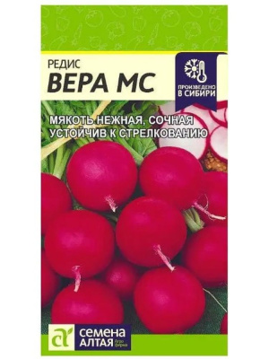 Редис Вера [Семена алтая] купить с доставкой Устойчивый к стрелкованию, с нежной сочной мякотью редис Вера станет незаменимым украшением стола в прекрасный летний период. Его ярко-красные плоды, насыщенный вкус не оставит никого равнодушным.
