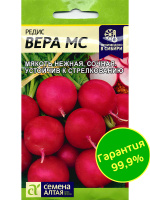 Редис Вера [Семена алтая]