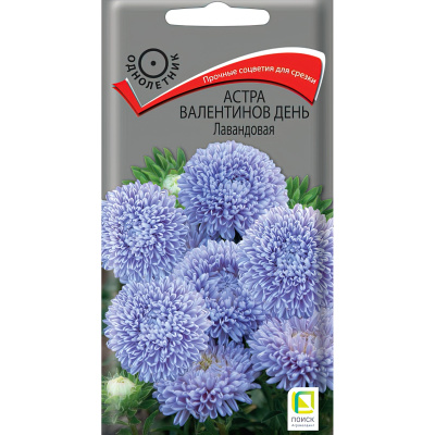 Астра Валентинов день Лавандовая [Поиск] купить с доставкой роскошный цветок, покоряющий необычайным шармом и очарованием