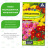 Хризантема Корейская смесь [Семена алтая] купить с доставкой - Хризантема Корейская смесь [Семена алтая] купить с доставкой