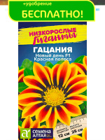 Гацания Новый день Красная полоса [Семена алтая]