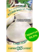 Лук Ялтинский белый [Гавриш]