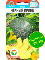 Дыня Черный принц [Сибирский сад]