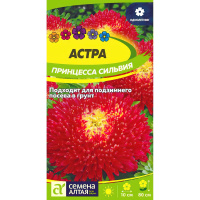 Астра Принцесса Сильвия [Семена алтая]