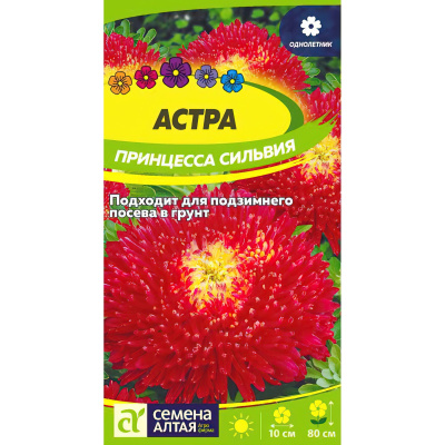 Астра Принцесса Сильвия [Семена алтая] купить с доставкой астра принцесса сильвия способна преобразить любой сад