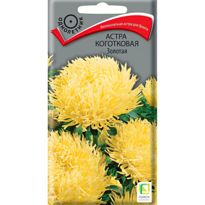 Астра коготковая Золотая [Поиск] купить с доставкой оригинальный сорт, получивший свое название благодаря элегантному солнечно-желтому оттенку соцветий