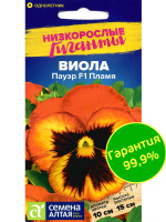 Виола Пауэр Пламя [Семена алтая]