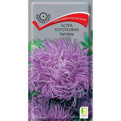 Астра коготковая Картейзер [Поиск] купить с доставкой это новый сорт, сочетающий оригинальную форму соцветий с необычной темно-синей окраской