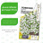 Лобелия Регатта Жемчужный Водопад ампельная [Семена алтая] купить с доставкой - Лобелия Регатта Жемчужный Водопад ампельная [Семена алтая] купить с доставкой
