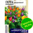 Перец Аладдин декоративный [Семена алтая] купить с доставкой - Перец Аладдин декоративный [Семена алтая] купить с доставкой