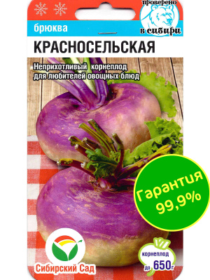 Брюква Красносельская [Сибирский сад] купить с доставкой ​Это старинный русский сорт, который вывели в 1950 году в ВНИИ селекции и семеноводства овощных культур. Несправедливо забытый овощ в последнее время. На самом деле брюква очень вкусна и полезна, ее называют «шведской репой» и считают здоровой альтернативой картофелю.