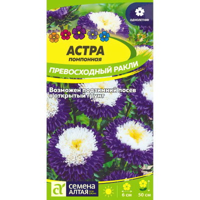 Астра Превосходный Ракли помпонная [Семена алтая] купить с доставкой замечательный сорт астры, привлекающий внимание обилием ярких и красочных соцветий