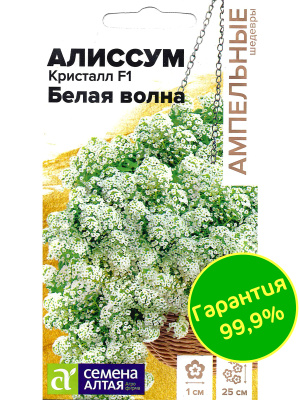 Алиссум Кристалл Белая Волна ампельный [Семена алтая] купить с доставкой мелкие, белоснежные цветки, собранные в большие плотные шапки