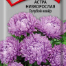 Астра низкорослая Голубой ковёр [Поиск]
