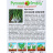 Лук Батун Русский Зимний [Русский Огород] купить с доставкой - Лук Батун Русский Зимний [Русский Огород] купить с доставкой