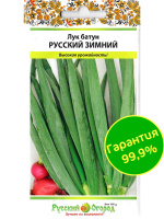 Лук Батун Русский Зимний [Русский Огород]