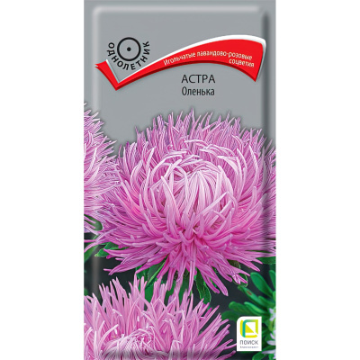 Астра Оленька [Поиск] купить с доставкой яркое и красочное однолетнее растение, привлекающее внимание пышными, игольчатыми соцветиями необычного лавандово-розового цвета