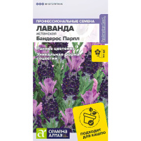 Лаванда Бандерос Парпл испанская [Семена алтая]