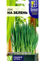 Лук на Зелень [Семена алтая]