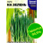 Лук на Зелень [Семена алтая] купить с доставкой - Лук на Зелень [Семена алтая] купить с доставкой