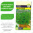 Чабер Ароматный [Семена алтая] купить с доставкой - Чабер Ароматный [Семена алтая] купить с доставкой