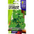 Огурец Городской Огурчик [Семена алтая] купить с доставкой - Огурец Городской Огурчик [Семена алтая] купить с доставкой