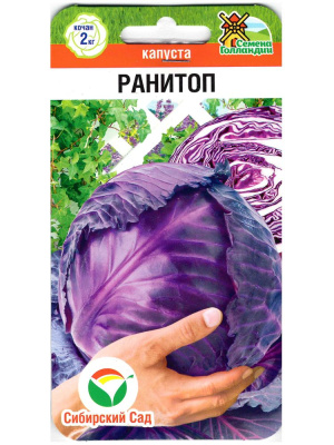 Капуста краснокочанная Ранитоп [Сибирский сад] купить с доставкой ​Капуста краснокочанная сорта Ранитоп — это яркое украшение любого огорода. Сочные, насыщенные фиолетовые головки, покрытые плотными листьями, придают этому сорту особое очарование. Ранитоп выделяется не только своим красивым внешним видом, но и замечательными вкусовыми качествами.