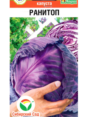 Капуста краснокочанная Ранитоп [Сибирский сад] купить с доставкой ​Капуста краснокочанная сорта Ранитоп — это яркое украшение любого огорода. Сочные, насыщенные фиолетовые головки, покрытые плотными листьями, придают этому сорту особое очарование. Ранитоп выделяется не только своим красивым внешним видом, но и замечательными вкусовыми качествами.