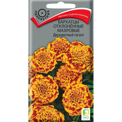 Бархатцы отклоненные махровые Двухцветный гигант [Поиск] купить с доставкой один из наиболее красивых и популярных сортов бархатцев с крупными, яркими махровыми соцветиями