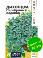 Дихондра Серебряный Водопад [Семена алтая]