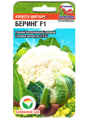 Капуста цветная Беринг [Сибирский сад] купить с доставкой Это высокоурожайный гибрид, отличающийся плотными белоснежными соцветиями и превосходными вкусовыми качествами. Благодаря устойчивости к неблагоприятным погодным условиям и болезням сорт успешно выращивается в различных климатических зонах. Головки обладают высокой товарностью, что делает Беринг популярным как среди фермеров, так и среди садоводов-любителей.