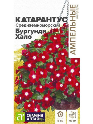 Катарантус Средиземноморский Бургунди Хало [Семена алтая] купить с доставкой новинка российской селекции, уже успевшая стать хитом