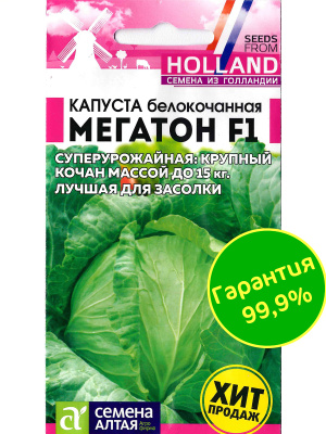 Капуста Мегатон [Семена алтая] купить с доставкой Мегатон F1 – высокоурожайный неприхотливый гибрид белокочанной капусты, который показывает высокую урожайность в регионах с различными климатическими условиями.