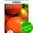 Томат Санька [Сибирский сад] купить с доставкой - Томат Санька [Сибирский сад] купить с доставкой